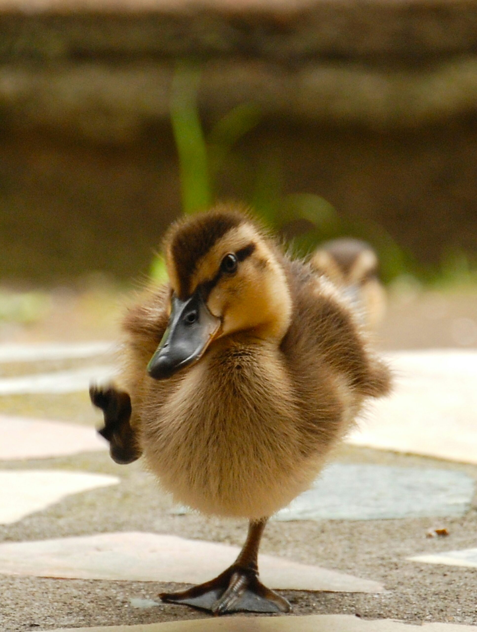 Hello world!